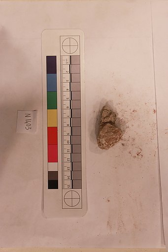 Stucco Fragment