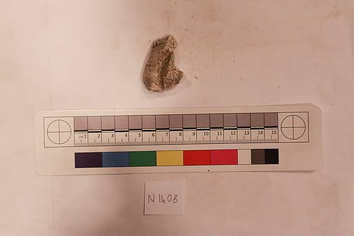 Stucco Fragment