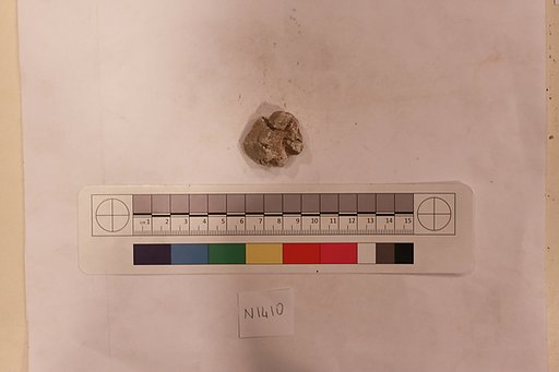 Stucco Fragment