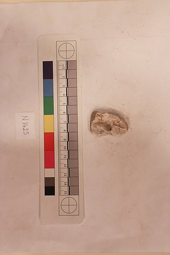 Stucco Fragment
