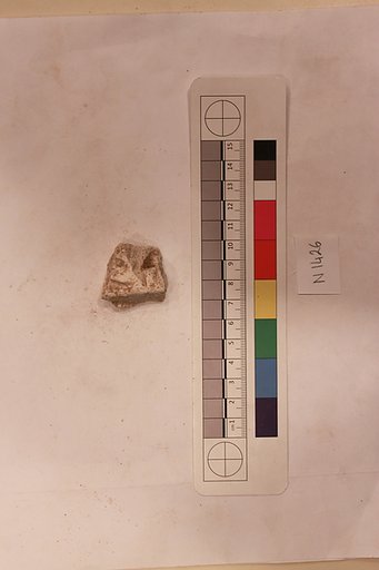 Stucco Fragment
