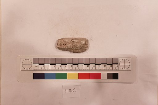 Stucco Fragment