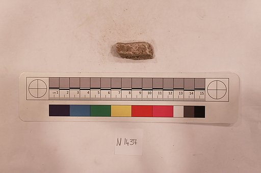 Stucco Fragment
