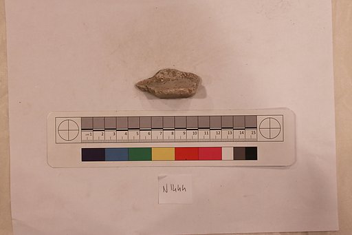 Stucco Fragment