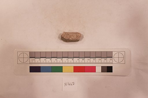 Stucco Fragment