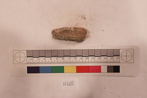 Stucco Fragment