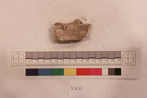 Stucco Fragment
