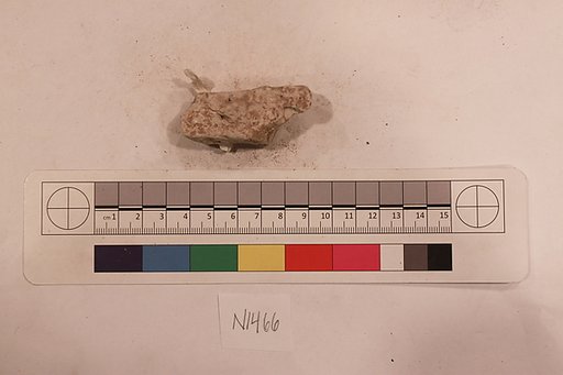 Stucco Fragment