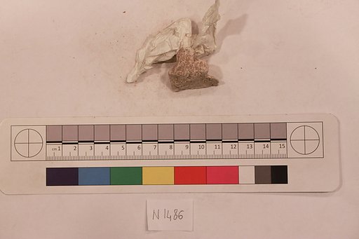 Stucco Fragment