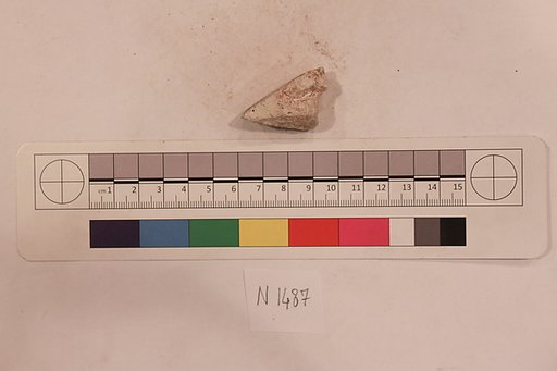 Stucco Fragment