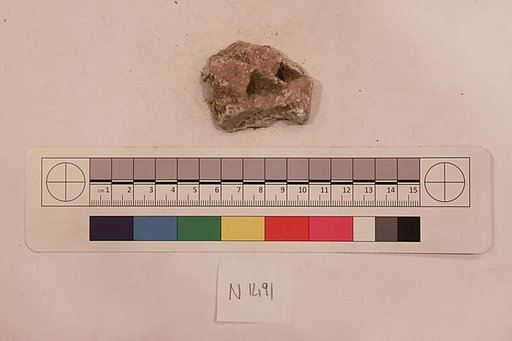 Stucco Fragment