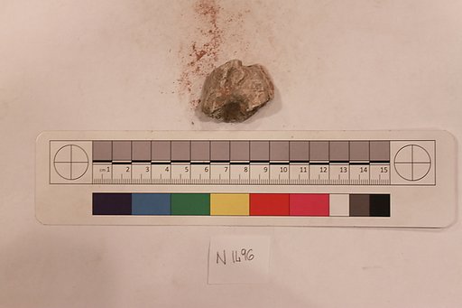 Stucco Fragment