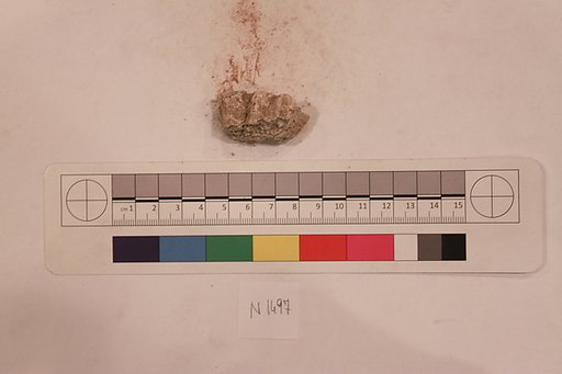 Stucco Fragment