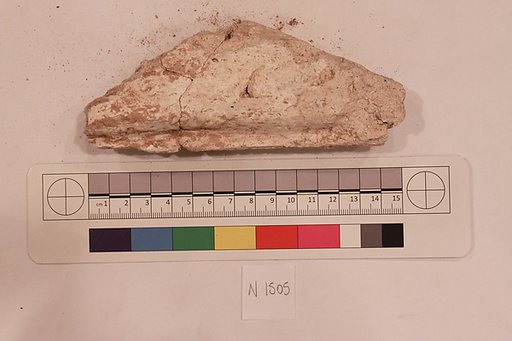 Stucco Fragment