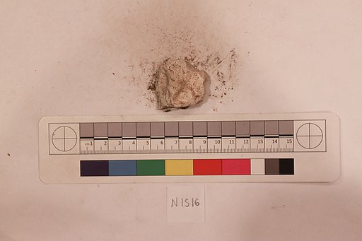 Stucco Fragment