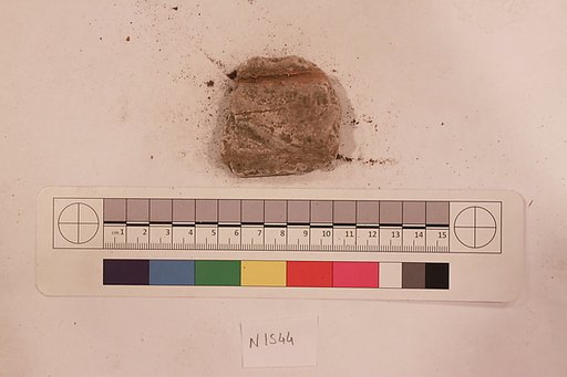 Stucco Fragment