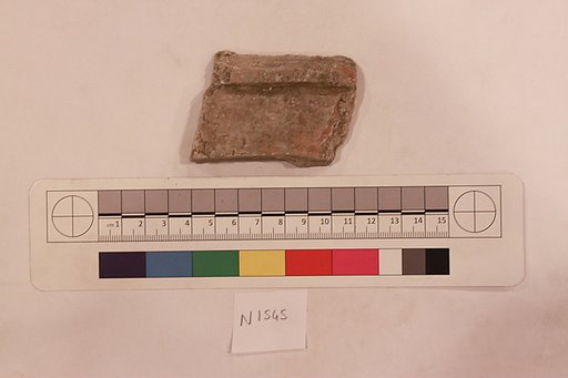 Stucco Fragment