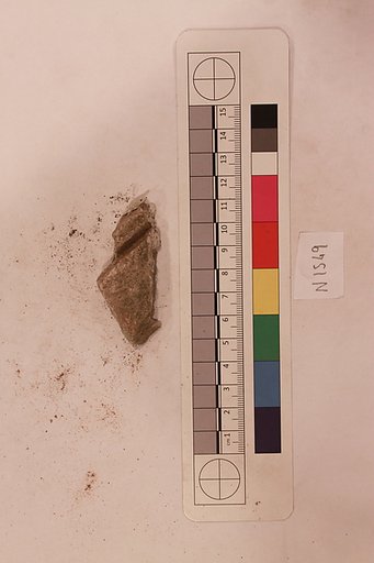 Stucco Fragment