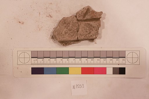 Stucco Fragment