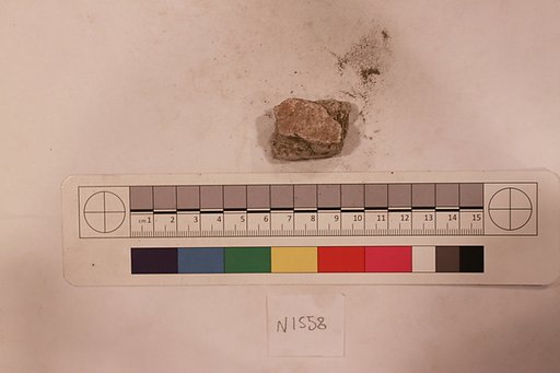 Stucco Fragment