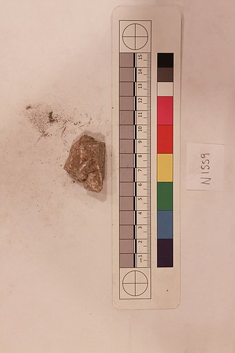 Stucco Fragment