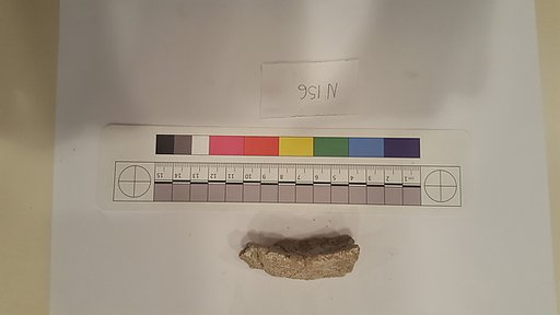 Stucco Fragment