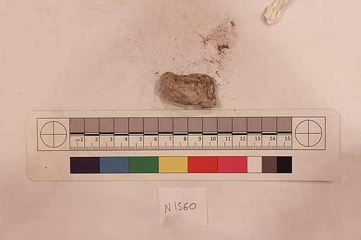 Stucco Fragment