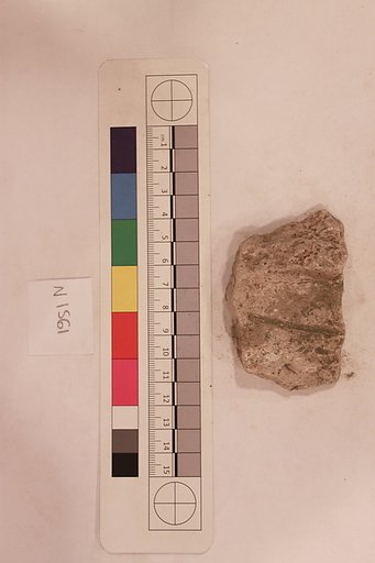 Stucco Fragment