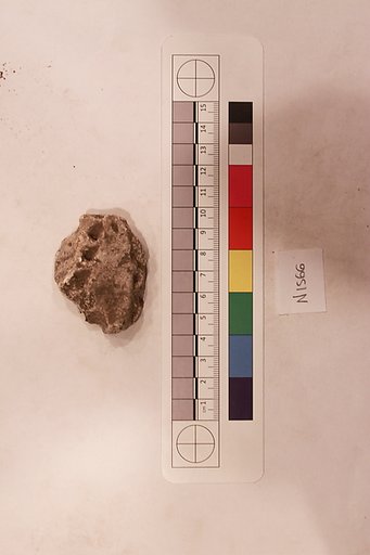 Stucco Fragment