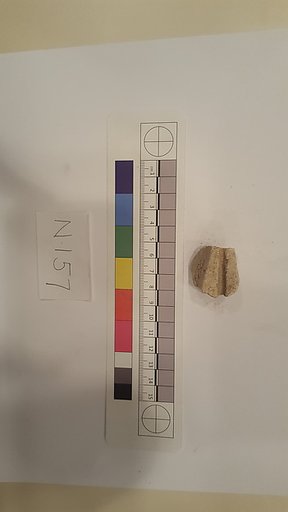 Stucco Fragment