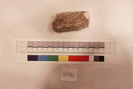 Stucco Fragment