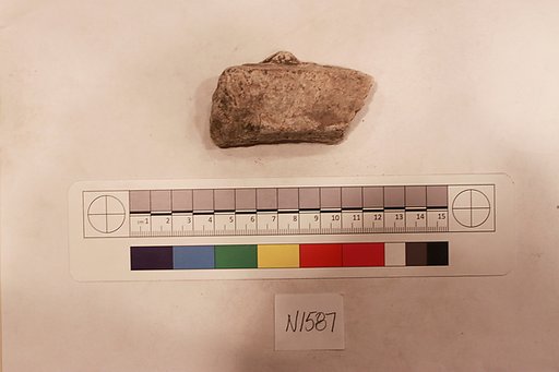 Stucco Fragment