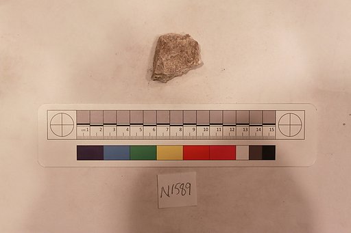 Stucco Fragment