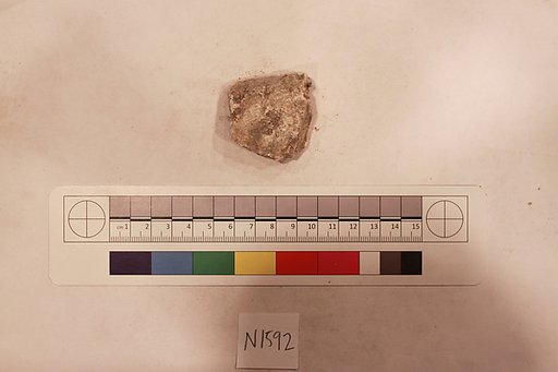 Stucco Fragment