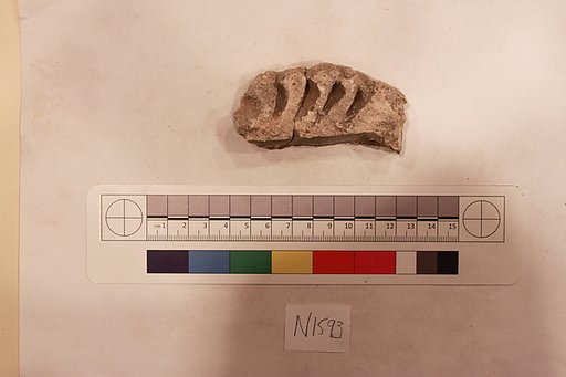 Stucco Fragment