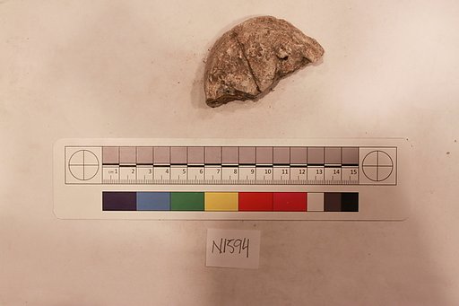 Stucco Fragment