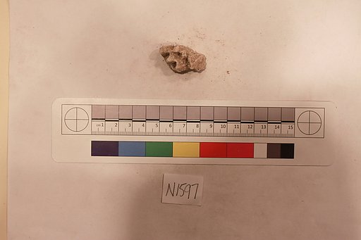 Stucco Fragment