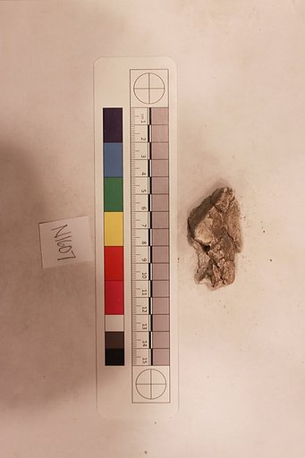 Stucco Fragment