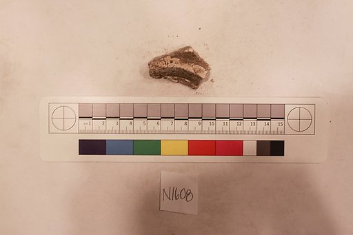Stucco Fragment