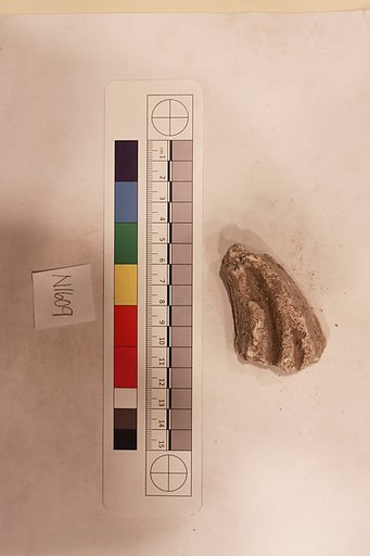 Stucco Fragment