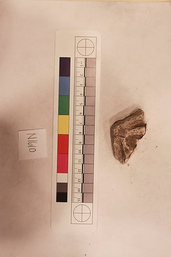 Stucco Fragment