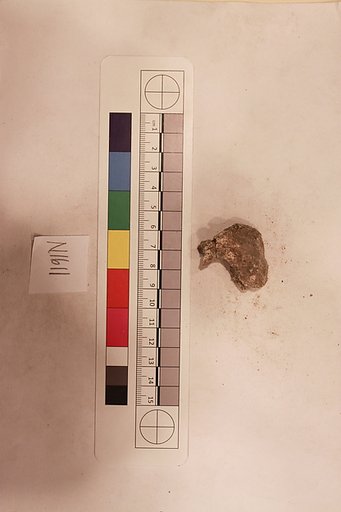 Stucco Fragment