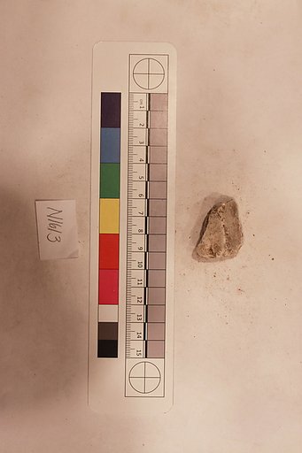 Stucco Fragment