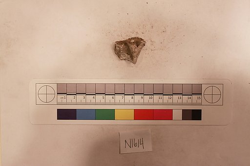 Stucco Fragment
