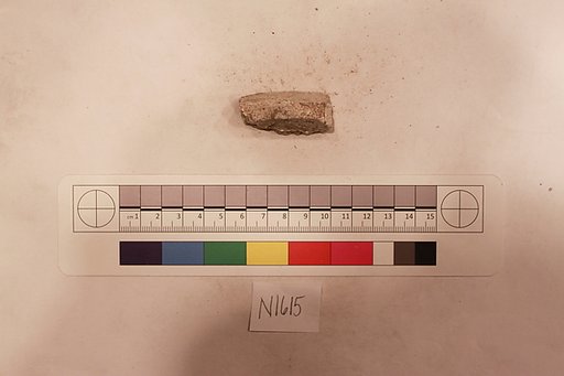 Stucco Fragment