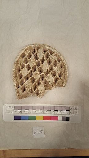 Stucco Fragment