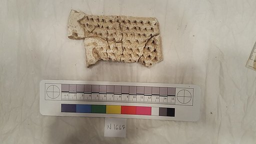 Stucco Fragment