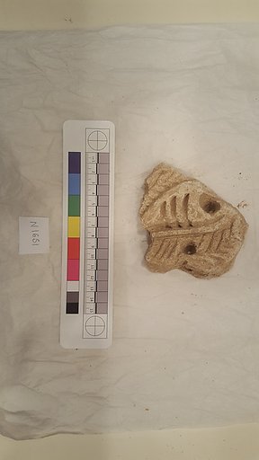 Stucco Fragment