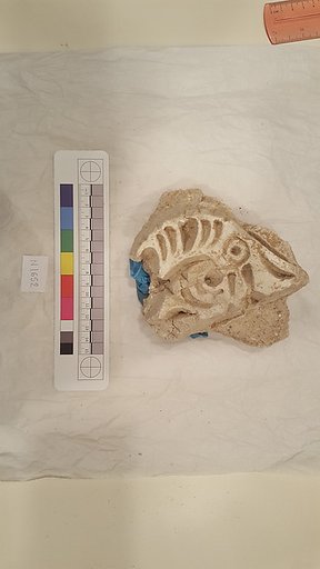 Stucco Fragment