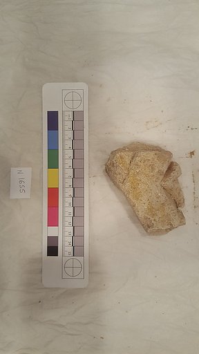 Stucco Fragment